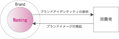 ブランド、消費者、ネーミングの関係